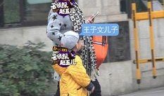 王子文爆料自己儿子视频,温馨亲子日常引网友热议