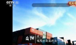 新港最新爆料新闻,最新爆料新闻背后的惊人真相